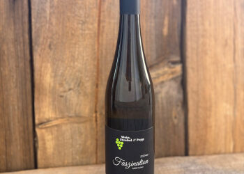 Wir stellen vor: Faszination